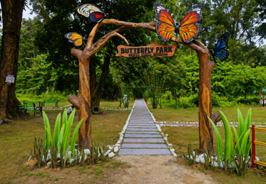 Butterfly Park