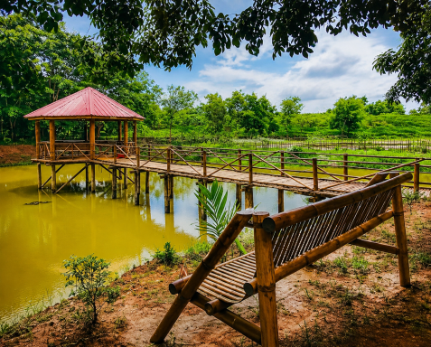 Bashgram (Border Tourism)